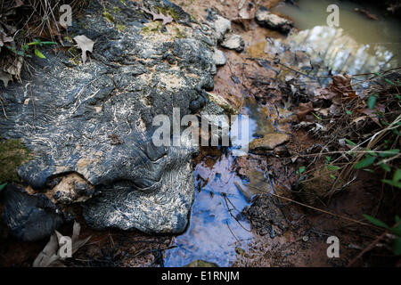 Crossett, Arkansas, USA. 15. März 2013. Eine schwarze teerige Substanz findet sich illegal entsorgt im gesamten Crossett Stadtpark Crossett, Arkansas. Nicolaus Czarnecki/ZUMAPRESS.com/Alamy © Live-Nachrichten Stockfoto