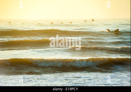 Surfer genießen die Einsamkeit eines frühen Morgens, Sonnenaufgang-Surf-Session in Jacksonville Beach an der Ostküste Floridas. USA. Stockfoto