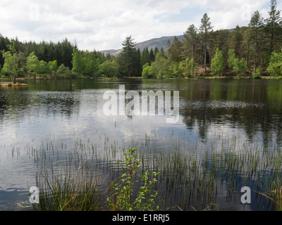 Herr Strathcona erstellt Glencoe Lochan und Wald für kanadische Frau Isabella, die Nordamerikanischen Abstieg ihre Depression und Heimweh Abate Stockfoto