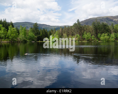 Herr Strathcona erstellt Glencoe Lochan und Wald für kanadische Frau Isabella, die Nordamerikanischen Abstieg Heimweh und Depression abklingen Stockfoto