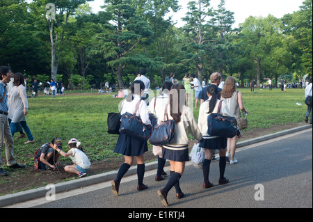 Tokyo Japan 2014 - Menschen genießen einen sonnigen Tag im Yoyogi-park Stockfoto