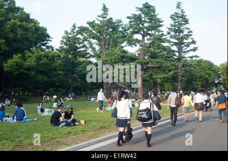 Tokyo Japan - Mai 2014 - Menschen genießen einen sonnigen Tag im Yoyogi-park Stockfoto