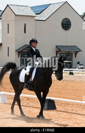 Dressur in den Sandhills, Pinehurst, NC Stockfoto