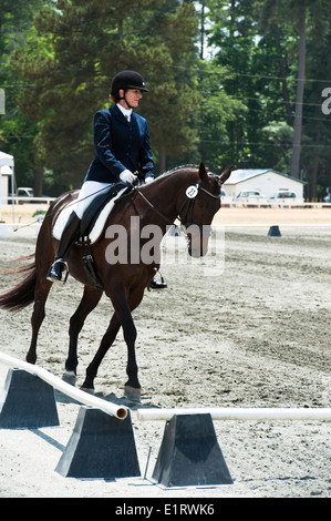 Jodi Lees Reiten Pferd #23 'Jurnee"bei Dressur in den Sandhills, Pinehurst, NC Stockfoto