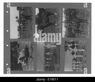 Band 1 der Canadian Official war Photos Kollektion zeigt ikonische Bilder aus dem Ersten Weltkrieg. Die Bilder zeigen Soldaten verschiedener Regimenter, darunter der 15. Sikhs und der 9. Gurkhas, die die verschiedenen Kräfte des Konflikts widerspiegeln. Stockfoto