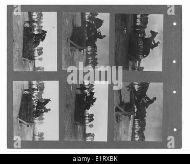 Band 1 des Canadian war Memorials Fund der Canadian Official war Photos zeigt bedeutende Momente des Ersten Weltkriegs. Die Sammlung enthält Bilder von Soldaten, darunter die 15. Sikhs, 9. Gurkhas und 6. Jats, die den internationalen Beitrag zum Krieg widerspiegeln. Stockfoto