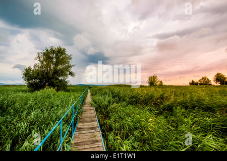 ein Steg im Schilf unter schönen Wolken durchlaufen Stockfoto