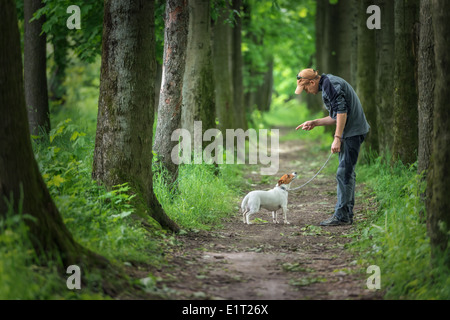 Mensch und Hund im Park spazieren Stockfoto