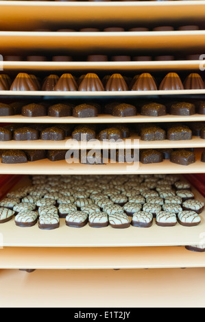 Tabletts mit Pralinen in der Schweizer Schokoladenfabrik von Lindt & Sprüngli in Zürich/Kilchberg Stockfoto
