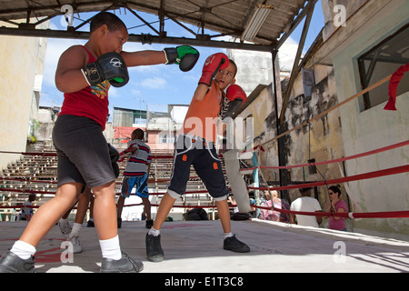 Boxen-Kinder auf eine Boxschule in Havanna, Kuba Stockfoto