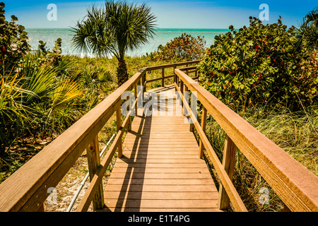 Sehr schön bewachsener tropischer Vegetation dividiert durch eine hölzerne Strand Gehweg zum Wasser Stockfoto