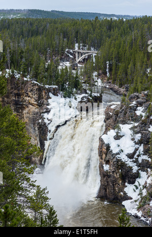 Die Upper Falls im Grand Canyon of the Yellowstone Nationalpark, Wyoming, USA. Stockfoto