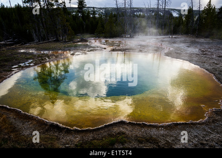 Reflexion in der Morning Glory-Sprudel. Yellowstone-Nationalpark, Wyoming, USA. Stockfoto