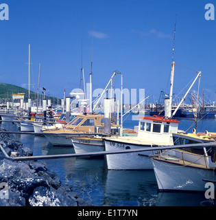 Australien: Angelboote/Fischerboote ankern in Coffs Harbour, New South Wales Stockfoto