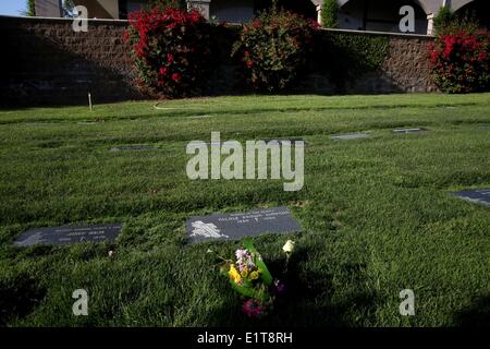 Lake Forest, Kalifornien, USA. 9. Juni 2014. Welke Blumen an der Grabstätte von Nicole Brown Simpson auf dem Aufstieg Friedhof in Lake Forest, Kalifornien, 20 Jahre nach ihrer Ermordung. Um 12:10 Uhr am 13. Juni 1994 waren Nicole Brown Simpson und Ronald Goldman außerhalb Browns Bundy Drive Eigentumswohnung im Bereich Brentwood von Los Angeles ermordet aufgefunden. Verdacht konzentrierte sich schnell auf ihrem früheren Ehemann, US-amerikanischer Football-Spieler O. J. Simpson, wer hatte Nicole in der Vergangenheit geschlagen und hatte kein Alibi. Bildnachweis: ZUMA Press, Inc./Alamy Live-Nachrichten Stockfoto