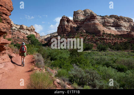 Wanderer auf Calf Creek Falls Trail, Grand Staircase-Escalante National Monument, Utah, Vereinigte Staaten von Amerika Stockfoto