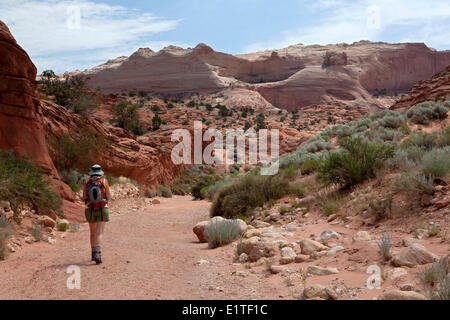 Wanderer auf der Wire Pass Trail auf dem Weg zum Buckskin Gulch Paria Canyon-Vermilion Cliffs Wilderness Area Utah Vereinigte Staaten Stockfoto