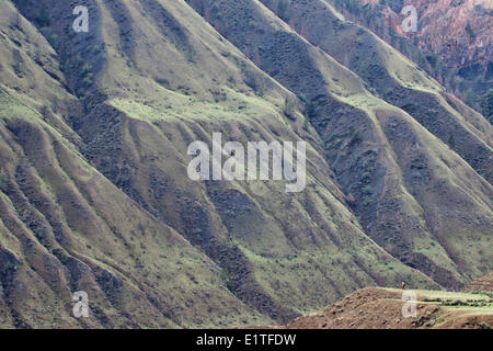 Wandern in BC Landschaft über den Fraser River Canyon in British Columbia Kanada Stockfoto