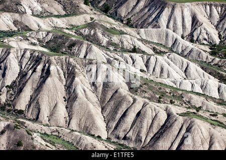 BC-Grasland in der Chilcotin Ark British Columbia Kanada Stockfoto