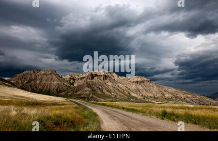 Wandern und Fotografieren in der BC Grasland von British Columbia Stockfoto