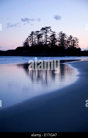 Baum-Reflexionen über Chestermans Beach Franks Insel in der Nähe von Tofino auf Vancouver Island in der Clayoquot in British Columbia Kanada Stockfoto