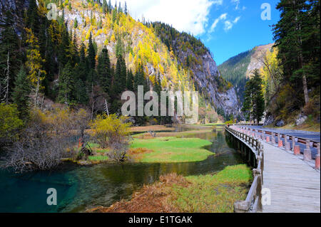 Zeigen Sie eine Tal mit Süßwasser Stream Autobahn einen Wanderweg im Herbst in JiuZhaiGou Nationalpark in Sichuan Provinz P.R an. Stockfoto