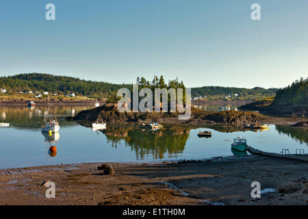 Angelboot/Fischerboot bei Ebbe, Blacks Harbour Bay Of Fundy, New Brunswick, Kanada Stockfoto