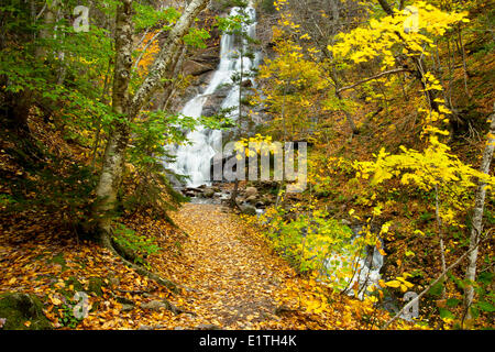 Beulach Ban fällt, Cape Breton Highlands National Park, Cape Breton, Nova Scotia, Kanada Stockfoto