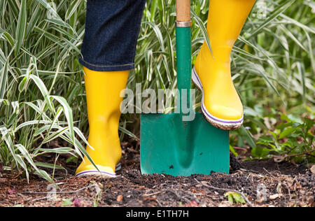 Frau Graben im Boden mit einem Garten Spaten, Nahaufnahme, Winnipeg, Manitoba, Kanada Stockfoto