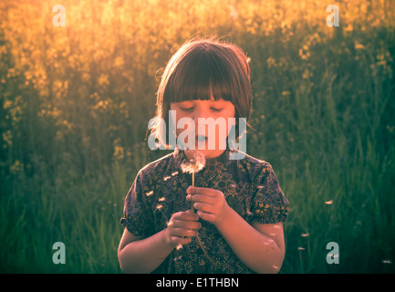 Kleines Mädchen bläst Löwenzahn auf einer Wiese Stockfoto