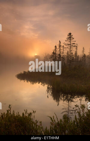 Nebliger Morgen Herbst landschaftlich am Highland Teich, Torrance Brachland, Muskoka, Ontario Stockfoto