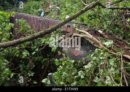 Düsseldorf, Deutschland. 10. Juni 2014. Äste haben ein Gartenhäuschen in Düsseldorf, 10. Juni 2014 zerkleinert. Der schwerste Sturm in Nordrhein-Westfalen im Jahre beschädigt viele Autos und Häuser. Bildnachweis: Dpa picture Alliance/Alamy Live News Stockfoto