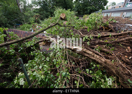 Düsseldorf, Deutschland. 10. Juni 2014. Äste haben ein Gartenhäuschen in Düsseldorf, 10. Juni 2014 zerkleinert. Der schwerste Sturm in Nordrhein-Westfalen im Jahre beschädigt viele Autos und Häuser. Bildnachweis: Dpa picture Alliance/Alamy Live News Stockfoto