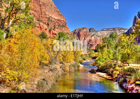 North Fork Virgin River, Zion Nationalpark, Utah, USA Stockfoto