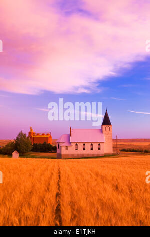 Reife, Ernte bereit Weizenfeld mit Kirche und Getreidesilo im Hintergrund, Admiral, Saskatchewan, Kanada Stockfoto