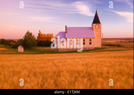 Reife, Ernte bereit Weizenfeld mit Kirche und Getreidesilo im Hintergrund, Admiral, Saskatchewan, Kanada Stockfoto