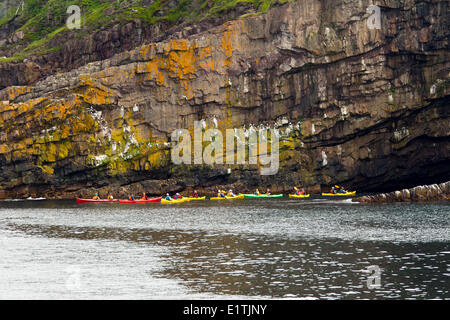 Sea Kayaking entlang der Steilküste, Witless Bay ökologische Reserve, Neufundland, Kanada Stockfoto
