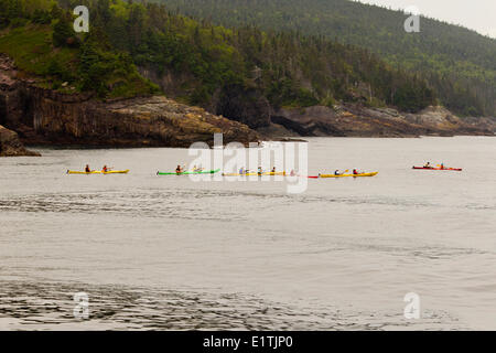 Sea Kayaking entlang der Steilküste, Witless Bay ökologische Reserve, Neufundland, Kanada Stockfoto