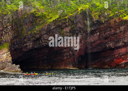 Sea Kayaking entlang der Steilküste, Witless Bay ökologische Reserve, Neufundland, Kanada Stockfoto