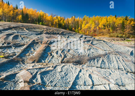 Herbst, präkambrischen Felsen entlang des Winnipeg River, in der Nähe von Seven Sisters, Manitoba, Kanada Stockfoto