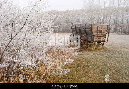 alte Wagen, frost bedeckten Bäume in der Nähe von Oakbank, Manitoba, Kanada Stockfoto