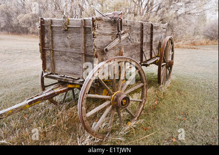 alte Wagen, frost bedeckten Bäume in der Nähe von Oakbank, Manitoba, Kanada Stockfoto