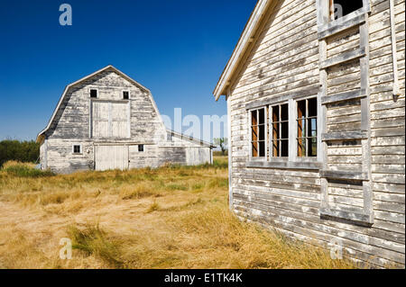 alte Scheune in der Nähe von Beechy, Saskatchewan, Kanada Stockfoto