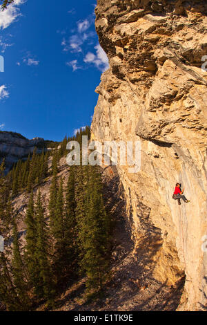 Ein Mann klettert die Sport-Route Feuer am Himmel 12 b bei Sonnenuntergang, Echo Canyon, Canmore, Alberta, Kanada Stockfoto