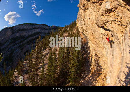 Ein Mann klettert die Sport-Route Feuer am Himmel 12 b bei Sonnenuntergang, Echo Canyon, Canmore, Alberta, Kanada Stockfoto