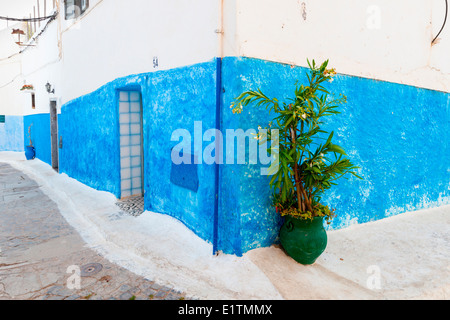 Die malerischen Gässchen blau-weißen in der Oudaia-Kasbah, Rabat, Marokko. Stockfoto