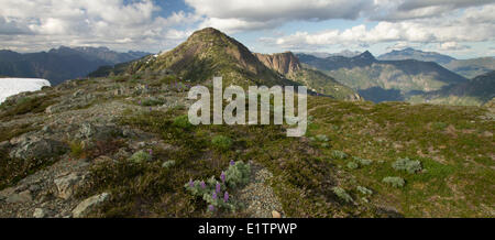 Strathcona Provincial Park, Vancouver Island, BC, Kanada Stockfoto