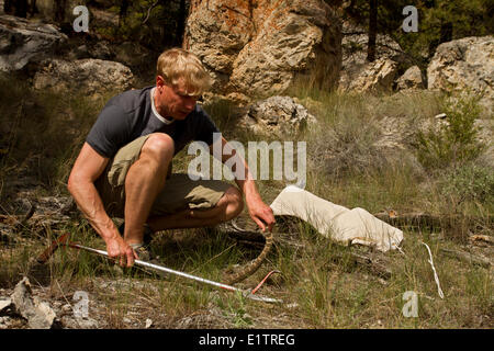 Westliche Klapperschlange, nördlichen Pazifik Rattlsnake, Crotalus Oreganus Schlange Handhabung, Okanagan, Kamloops, BC, Kanada Stockfoto