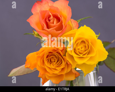 Nahaufnahme einer Anordnung von orange und gelbe Rosen Stockfoto