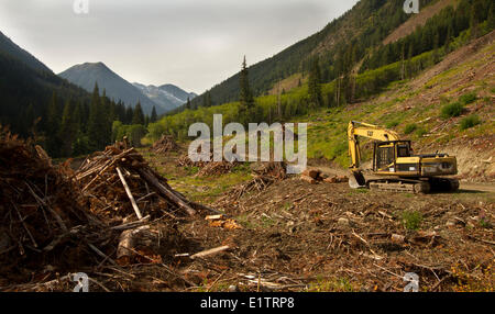 Clearcut Protokollierung, beschmutzt Eule Lebensraumzerstörung, Fragmentierung, Verlust von Lebensraum, Lillooet, BC, Kanada Stockfoto